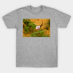 blla sweet potato bloom T-Shirt